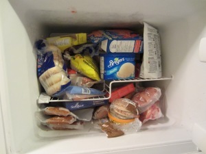 The little freezer
